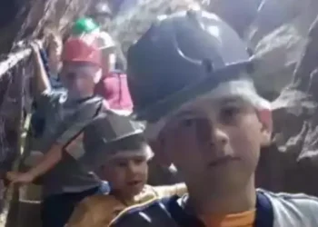 De no creer: Un nene fue a una excursión a una mina desactivada hace un siglo y realizó un particular hallazgo