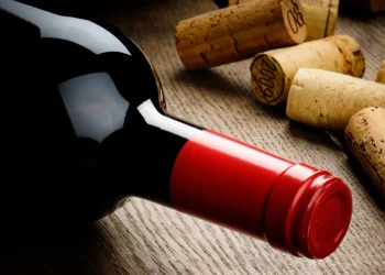 “Situación crítica”: bodegas advierten que cayó 31% la exportación de vinos por el dólar oficial y las trabas para importar