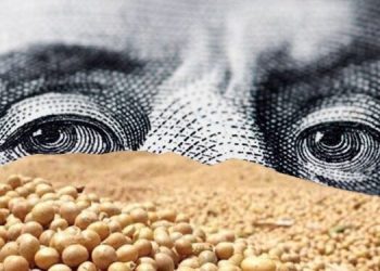 ¿Dólar soja 4?: analistas creen que sería de $350, aunque los productores piden $370, por la inflación acumulada