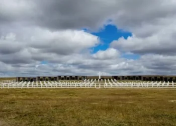 Cinco claves para entender los cruces por la histórica inclusión de las Malvinas en un documento de la UE