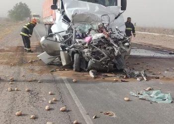 Dos muertos y graves destrozos por el viento Zonda en la provincia de Mendoza