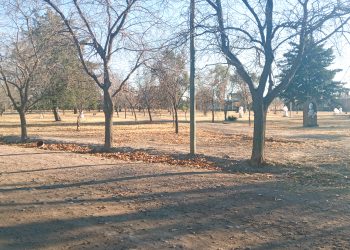 “La plaza del olvido”