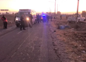 Tragedia en la provincia de Mendoza: una mujer y su hijita murieron al ser atropelladas por una camioneta