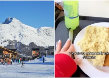 El precio exorbitante de una milanesa con puré en un parador argentino se hizo viral y estalló la polémica en las redes