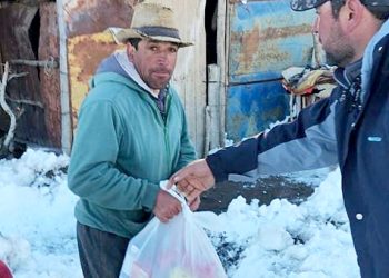 Panorama desolador y triste en El Sosneado: “Los puesteros siguen encontrando sus animales muertos”