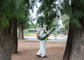 El Dengue ya preocupa en Mendoza debido a las altas temperaturas