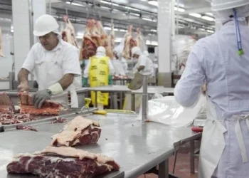 El Gobierno negocia con los frigoríficos para frenar los fuertes aumentos en la carne