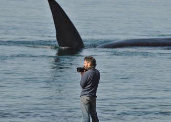 El gasto de los turistas en el fin de semana largo aumentó 7,7% interanual, según la CAME