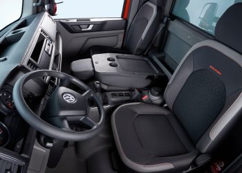 Es camionera, se cansó del machismo en su profesión y se descargó en las redes: “Busco empleo”