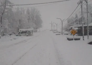 Las postales de la impresionante nevada en Mendoza