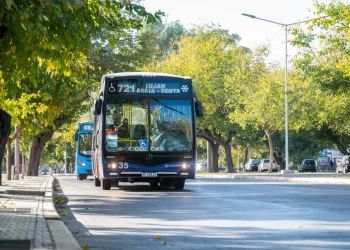 Los niños tendrán servicio de transporte gratuito este domingo