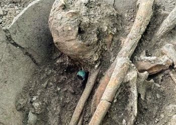 México: Hallan osamenta de 1200 años de antigüedad con un anillo de jade