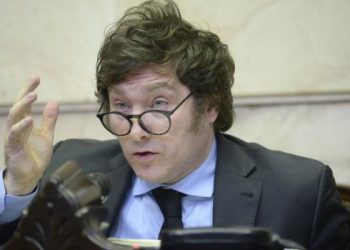 Milei dijo al FMI que si gana aplicará un ajuste fiscal «más grande que el exigido» por el organismo