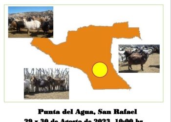 Punta del Agua realizará su 14ª exposición  invierno con los productores de la zona