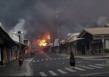 Son 93 los muertos por el incendio forestal en Hawai: recurren al ADN para identificarlos