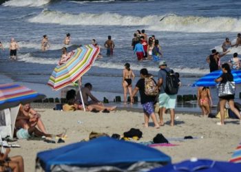 Una mujer fue atacada por un tiburón mientras nadaba en una playa de Nueva York