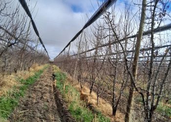 Mendoza destinará $500 millones en créditos para mitigación del riesgo climático y manejo de recursos hídricos