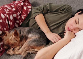 Por qué no es recomendable dormir con un perro o gato en la cama