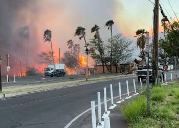 El drama de la argentina que escapó del fuego en Hawaii con su bebé en brazos y solo pudo salvar una mochila con pañales