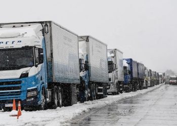 Paso Cristo Redentor: empresarios mendocinos elevaron su reclamo ante Nación
