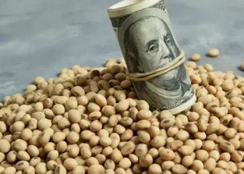 Nuevo dólar agro: en ocho días ya se negociaron 5 millones de toneladas y hubo una liquidación de más de USD 1.600 millones