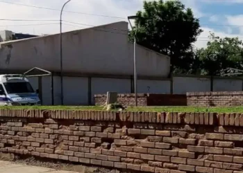 A una niña se le cayó un contenedor de basura encima en San Martín