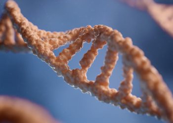 Alpha Missense: la inteligencia artificial de Google capaz de identificar qué causa las enfermedades genéticas