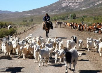 Ley de Arraigo de Puesteros: se prorrogó hasta diciembre de 2024 los desalojos y procesos judiciales