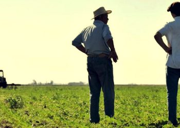 Productores piden que se los incluya en la modificación de Ganancias: “Siempre somos los últimos de la fila”