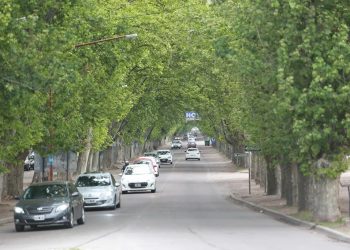 Entidades realizarán actividades vinculadas al cuidado del arbolado público