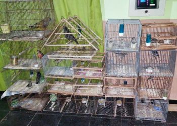 El comisario Carlos Siri se refirió a distintos hechos policiales que se dieron en los últimos días