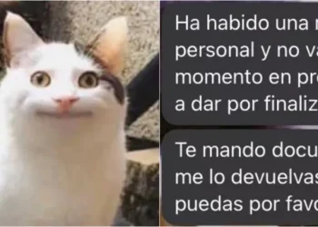 Celebró en redes su nuevo trabajo, pero a las 10 horas la llamaron por la peor noticia: La echaron