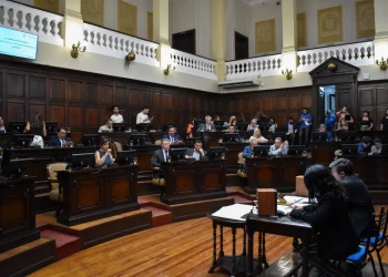Cuáles serán las viejas y nuevas figuras que estarán en la próxima Legislatura