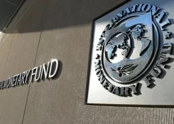 El FMI dejó en claro que «la dolarización no sustituye necesidad de tener una política fiscal sostenible»