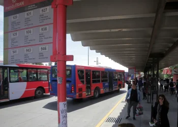 Elecciones departamentales: quienes voten este domingo podrán viajar gratis en colectivo