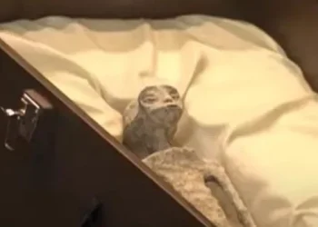 Exhibieron en el Parlamento de México dos alienígenas momificados