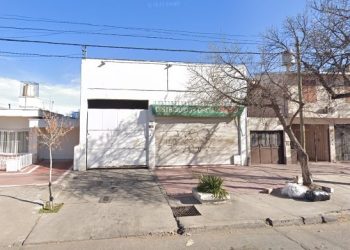 Robó pero fue capturado: estaba arriba de una palmera