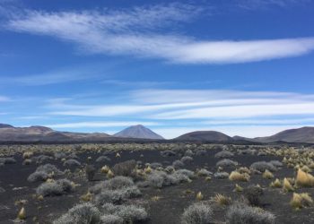 Volcanes y campos de lava: así es el impactante desierto negro de La Payunia