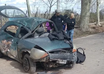 Provincia de Mendoza: Murió una niña de cinco años luego de que el auto en el que viajaba chocara contra un árbol