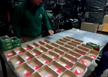 Niños manipularán biocontenedores para aprender cómo se controla una plaga de Mendoza