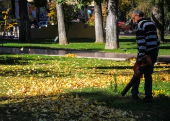 Pronóstico en la provincia de Mendoza: descenso de la temperatura e ingreso de un frente frío