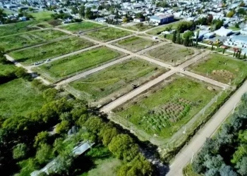 Terrenos gratis para familias vulnerables: cómo anotarse