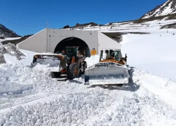 Tras 13 días cerrado, confirmaron que reabrirá el paso a Chile