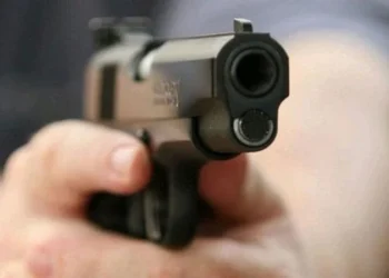 Gran Buenos Aires: Un hombre asesinó a balazos a dos primos luego de una discusión