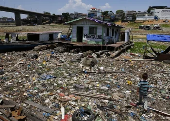 Alerta por la sequía en el Amazonas: desapareció un lago