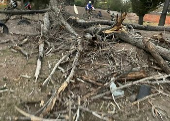 Se desplomó un árbol en el parque y por fortuna no cayó sobre niños que practican mountain bike