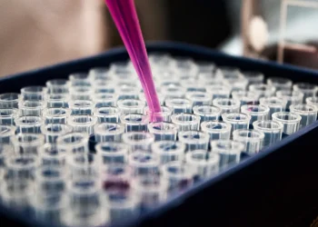 Bioquímicos y kinesiólogos negocian, pero no logran acuerdos