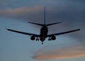 Condenan en Francia a un hombre por agredir sexualmente a azafata en vuelo hacia España