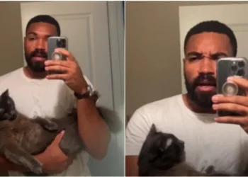 Consiguió trabajo y duró 47 minutos porque lo hicieron elegir entre su gato o el puesto