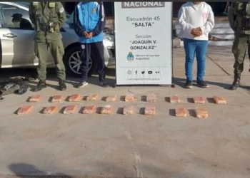 Dos detenidos en Salta con casi 19 kilos de cocaína ocultos debajo de los asientos de un auto